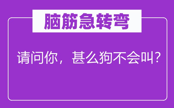 腦筋急轉(zhuǎn)彎：請問你，甚么狗不會叫？