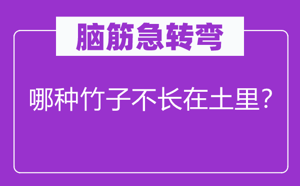 腦筋急轉(zhuǎn)彎：哪種竹子不長在土里？