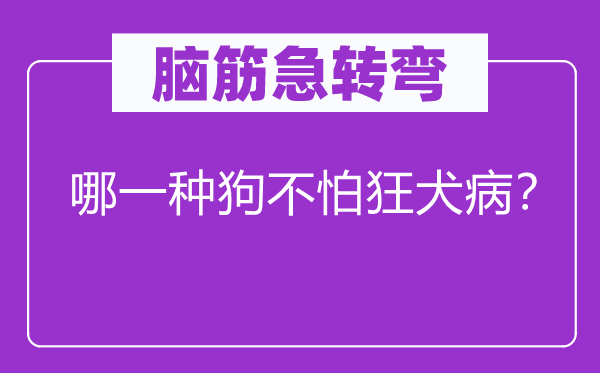 腦筋急轉彎：哪一種狗不怕狂犬病？