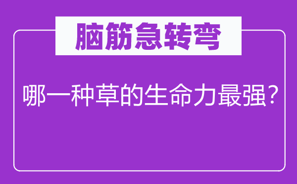 腦筋急轉(zhuǎn)彎：哪一種草的生命力最強(qiáng)？