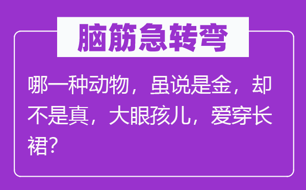 腦筋急轉(zhuǎn)彎：哪一種動(dòng)物，雖說是金，卻不是真，大眼孩兒，愛穿長(zhǎng)裙？