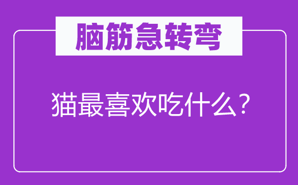 腦筋急轉(zhuǎn)彎：貓最喜歡吃什么？