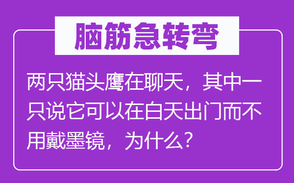 腦筋急轉彎：兩只貓頭鷹在聊天，其中一只說它可以在白天出門而不用戴墨鏡，為什么？