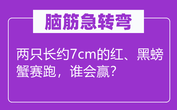 腦筋急轉(zhuǎn)彎：兩只長約7cm的紅、黑螃蟹賽跑，誰會贏？