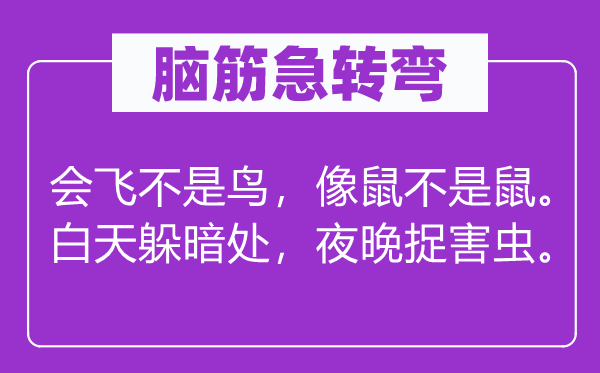 腦筋急轉(zhuǎn)彎：會飛不是鳥，像鼠不是鼠。白天躲暗處，夜晚捉害蟲。