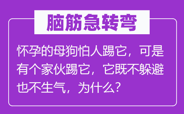 腦筋急轉(zhuǎn)彎：懷孕的母狗怕人踢它，可是有個家伙踢它，它既不躲避也不生氣，為什么？