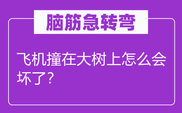 腦筋急轉(zhuǎn)彎：飛機(jī)撞在大樹上怎么會壞了？