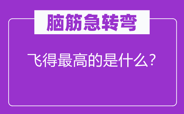 腦筋急轉(zhuǎn)彎：飛得最高的是什么？