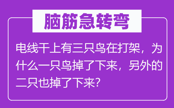 腦筋急轉(zhuǎn)彎：電線干上有三只鳥在打架，為什么一只鳥掉了下來，另外的二只也掉了下來？
