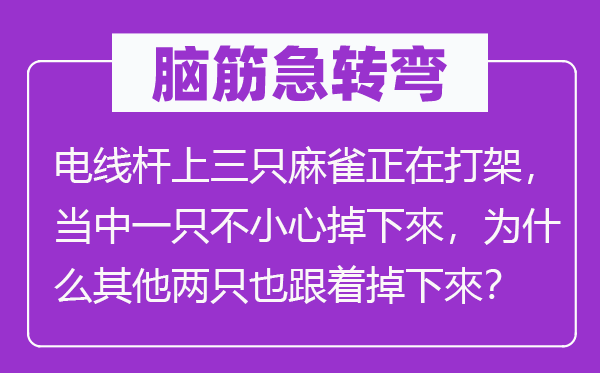 腦筋急轉(zhuǎn)彎：電線桿上三只麻雀正在打架，當(dāng)中一只不小心掉下來(lái)，為什么其他兩只也跟著掉下來(lái)？