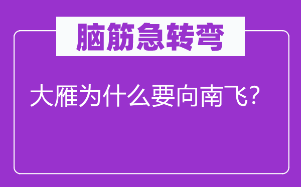 腦筋急轉(zhuǎn)彎：大雁為什么要向南飛？