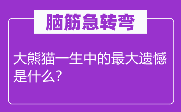 腦筋急轉(zhuǎn)彎：大熊貓一生中的最大遺憾是什么？