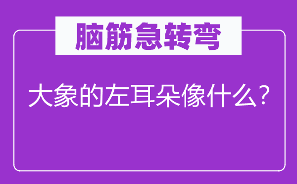 腦筋急轉(zhuǎn)彎：大象的左耳朵像什么？