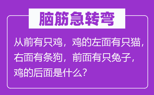 腦筋急轉(zhuǎn)彎：從前有只雞，雞的左面有只貓，右面有條狗，前面有只兔子，雞的后面是什么？