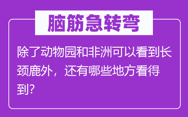 腦筋急轉(zhuǎn)彎：除了動(dòng)物園和非洲可以看到長頸鹿外，還有哪些地方看得到？
