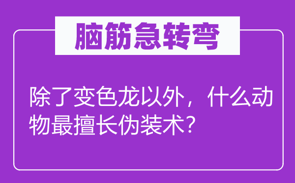 腦筋急轉(zhuǎn)彎：除了變色龍以外，什么動物最擅長偽裝術(shù)？