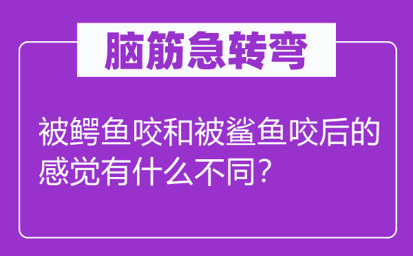 腦筋急轉(zhuǎn)彎：被鱷魚咬和被鯊魚咬后的感覺有什么不同？