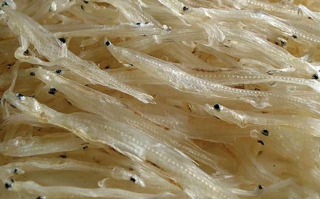 江西老表什么意思,為什么都叫江西人老表？