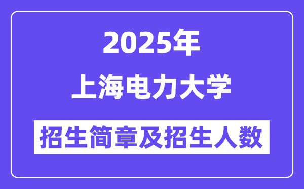 上海電力大學(xué)2025高考招生簡章,各省招生計劃人數(shù)匯總