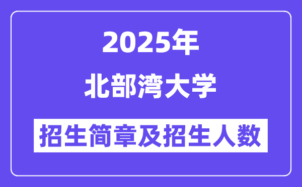 北部灣大學(xué)2025高考招生簡章,各省招生計(jì)劃人數(shù)匯總