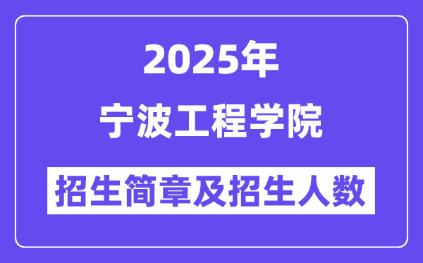 寧波工程學(xué)院2025高考招生簡章,各省招生計(jì)劃人數(shù)匯總