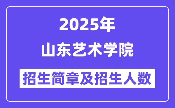 山東藝術(shù)學(xué)院2025高考招生簡章,各省招生計劃人數(shù)匯總
