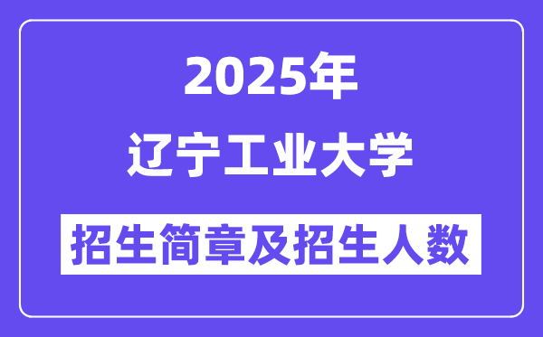 遼寧工業(yè)大學(xué)2025高考招生簡(jiǎn)章,各省招生計(jì)劃人數(shù)匯總