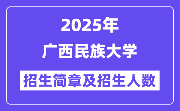 廣西民族大學2025高考招生簡章,各省招生計劃人數(shù)匯總