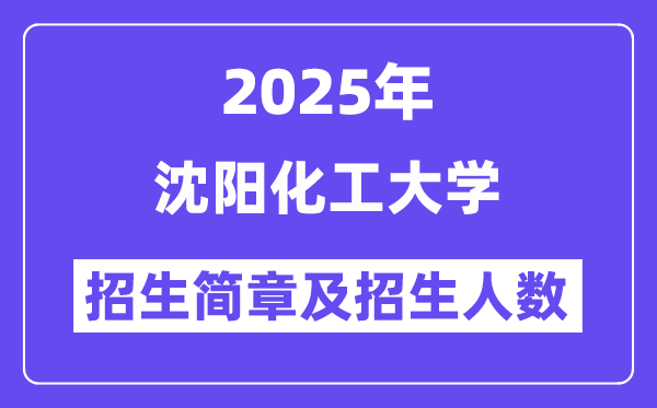 沈陽化工大學(xué)2025高考招生簡章,各省招生計劃人數(shù)匯總