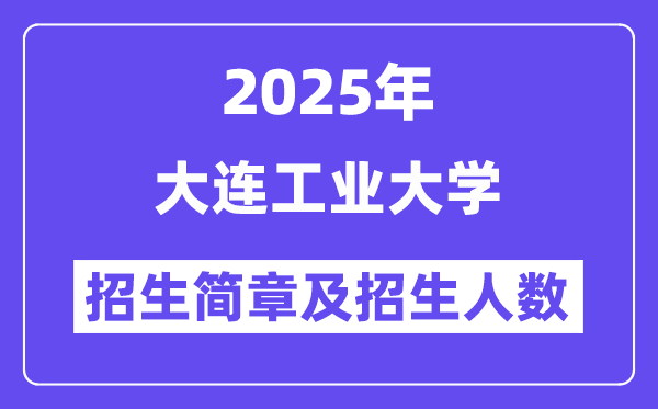 大連工業(yè)大學(xué)2025高考招生簡(jiǎn)章,各省招生計(jì)劃人數(shù)匯總