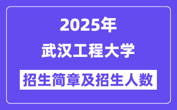 武漢工程大學2025高考招生簡章,各省招生計劃人數(shù)匯總