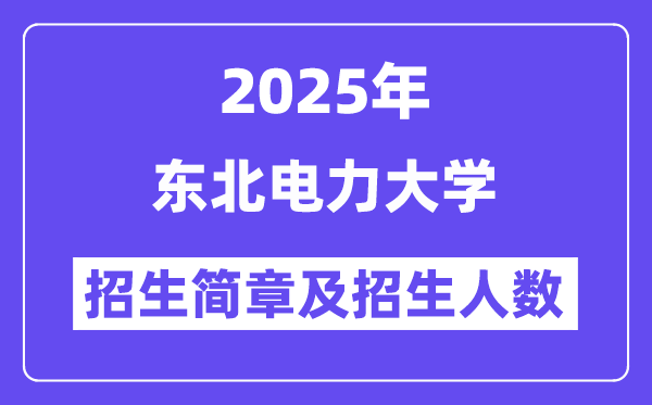 東北電力大學(xué)2025高考招生簡(jiǎn)章,各省招生計(jì)劃人數(shù)匯總