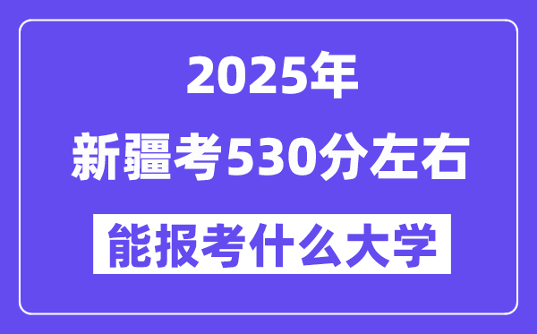 2025年新疆考530分左右能報考上什么大學(xué)?附位次排名對照表