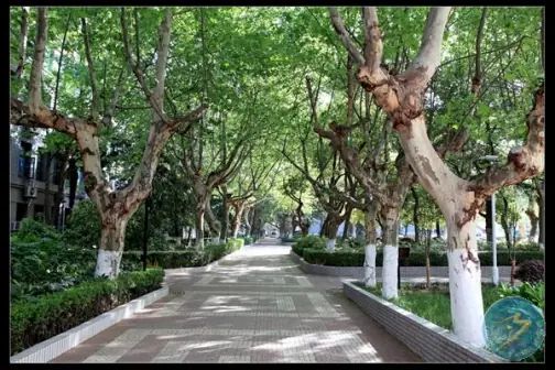 南京第十三中學(xué)簡(jiǎn)介概況（建校歷史、地址、師資、校訓(xùn)、環(huán)境）