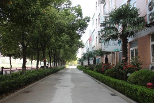 南京第二十九中學(xué)簡介概況（建校歷史、地址、師資、校訓(xùn)、環(huán)境）