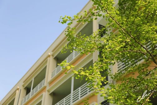 南京第五高級(jí)中學(xué)簡(jiǎn)介概況（建校歷史、地址、師資、校訓(xùn)、環(huán)境）