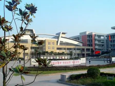 南京市雨花臺(tái)中學(xué)在南京的排名第幾,南外屬于什么檔次？