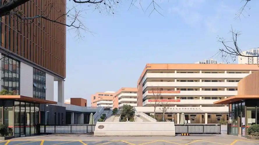 南京河西外國語學校在南京的排名第幾,南外屬于什么檔次？