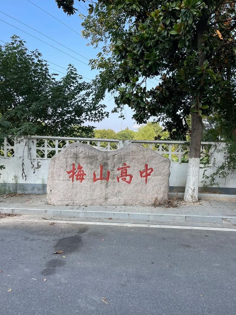 南京市梅山高級中學(xué)是公立還是私立,是重點中學(xué)嗎？