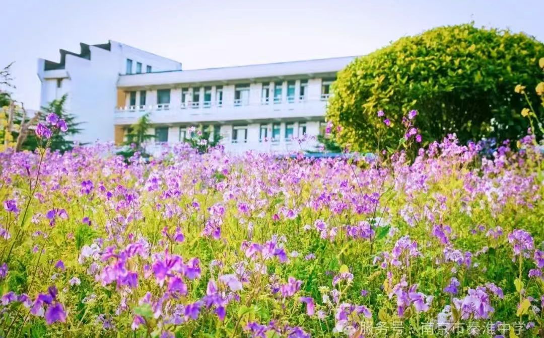 南京市秦淮中學(xué)地址在哪_在什么區(qū)？