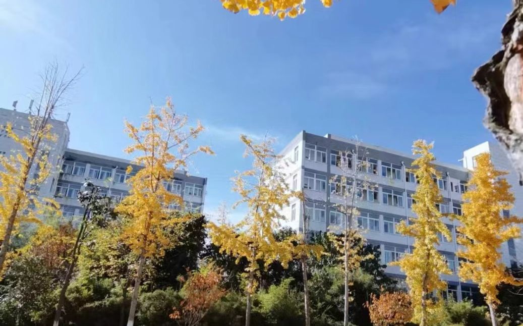 南京市六合實驗高級中學(xué)在南京的排名第幾,南外屬于什么檔次？