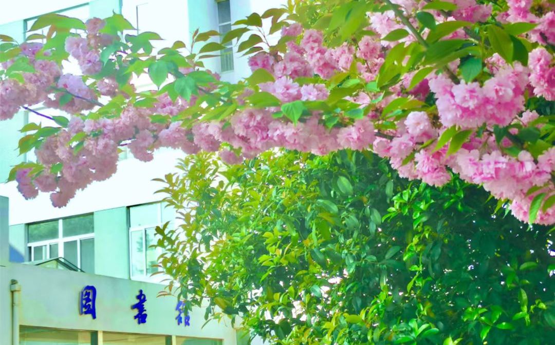 南京市六合實驗高級中學(xué)位置在哪里_在哪個區(qū)？