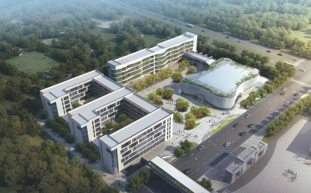 南京市高淳區(qū)湖濱高級(jí)中學(xué)在南京的排名第幾,南外屬于什么檔次？