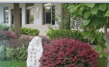 南京市文樞高級中學(xué)在南京的排名第幾,南外屬于什么檔次？