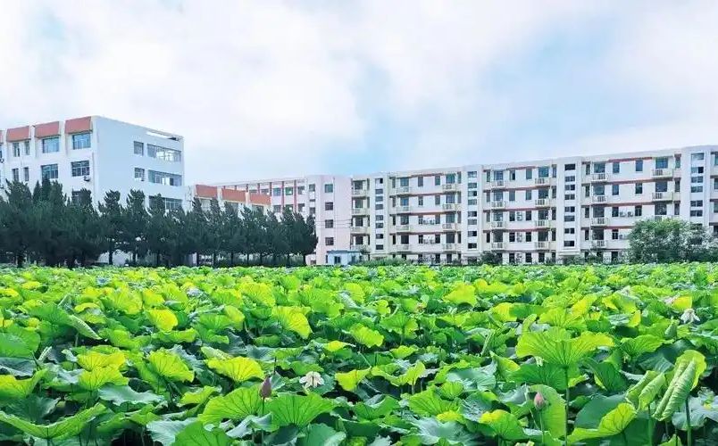 南京遠(yuǎn)景實(shí)驗(yàn)中學(xué)在南京的排名第幾,南外屬于什么檔次？