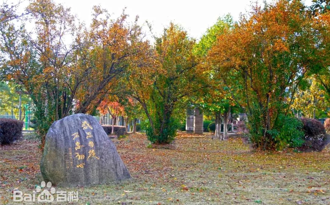 江蘇省梁豐高級(jí)中學(xué)校區(qū)在哪_在哪個(gè)區(qū)？