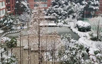 鄭州外國語學(xué)校在鄭州的排名第幾,南外屬于什么檔次？