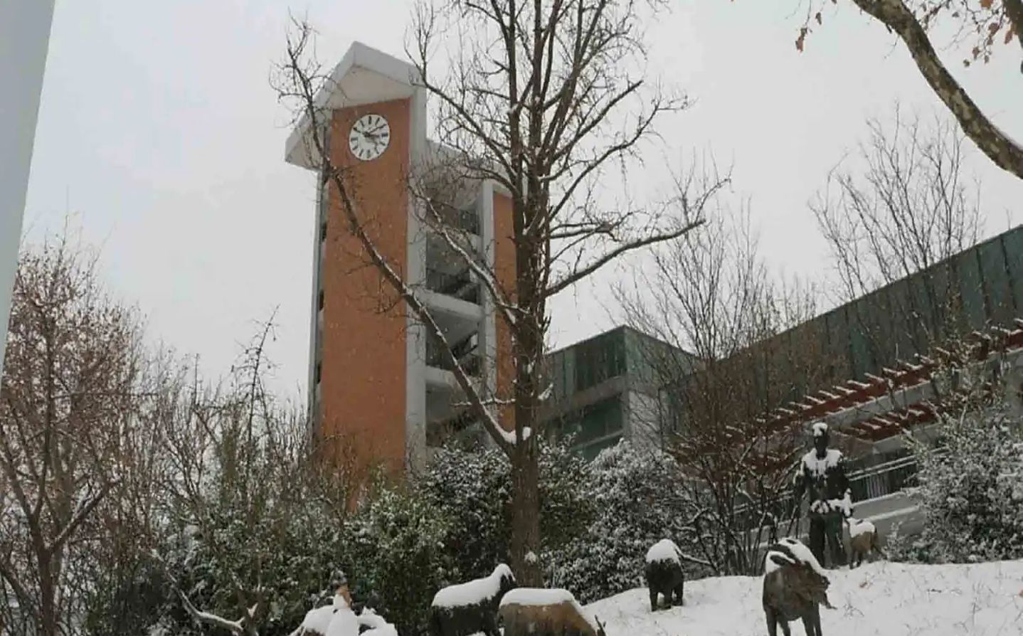 鄭州市第一中學(xué)地址在哪里_位于哪個區(qū)？