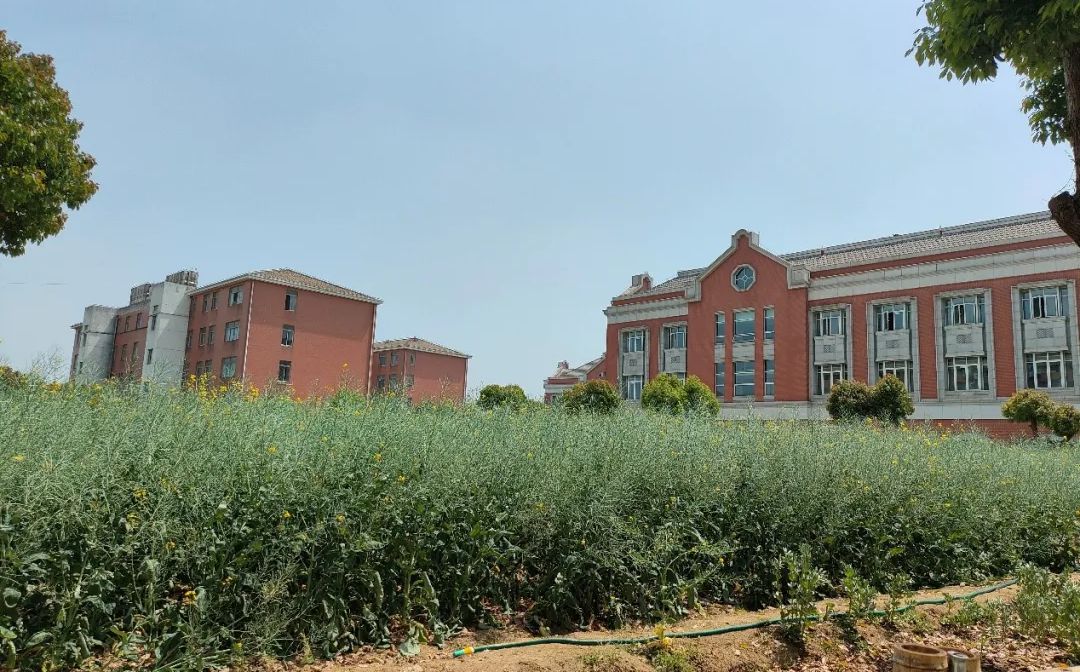 江蘇省外國(guó)語(yǔ)學(xué)校地址在哪里_位于哪個(gè)區(qū)？