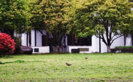 蘇州第十中學(xué)校在蘇州的排名第幾,南外屬于什么檔次？